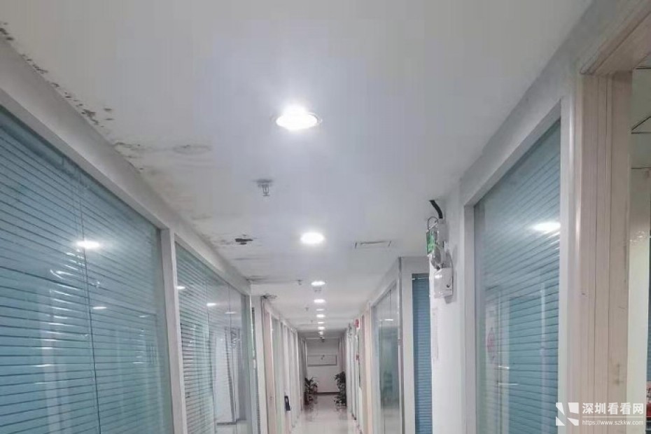 百货广场大厦西座贸易类跨境小型办公室