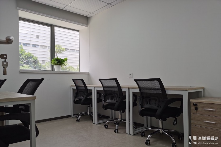 平湖共享办公室出租精装修带家私提供租赁红本