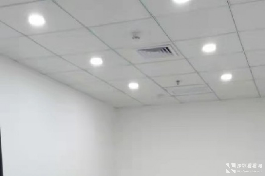 南山甲级写字楼直租带家私网络等特价