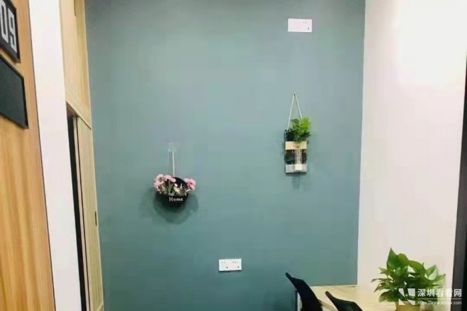 南山甲级写字楼直租带家私网络等特价