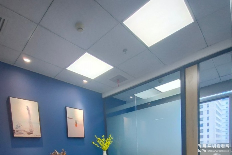 蔡屋围大剧院地铁口周边独立小型办公室直租配红本可开户