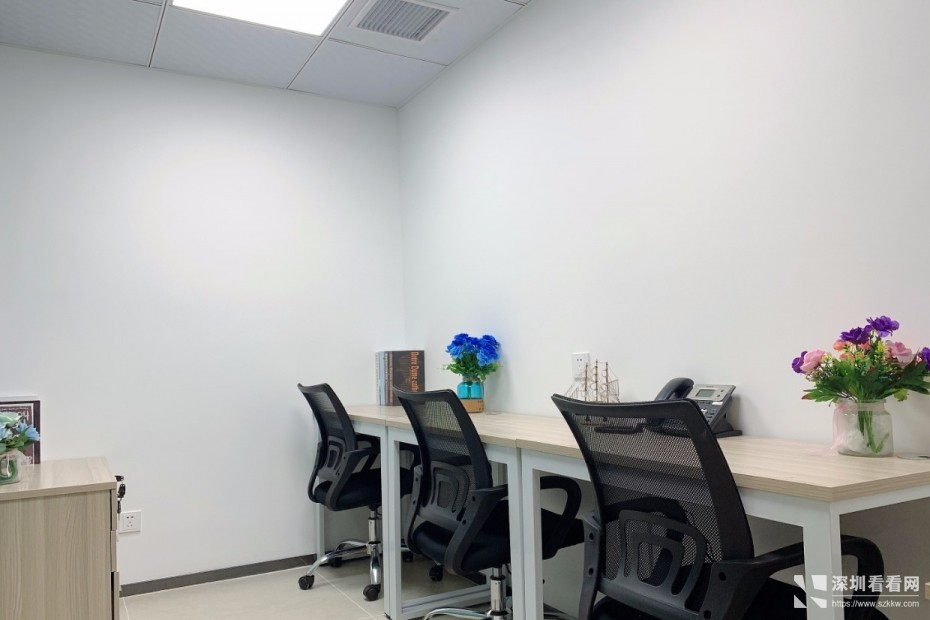 蔡屋围大剧院地铁口周边独立小型办公室直租配红本可开户