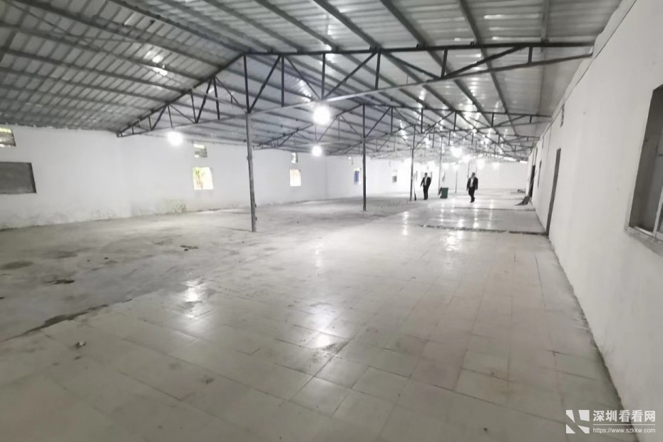 深圳平湖白坭坑新出一层独院钢构1100平厂房仓库出租