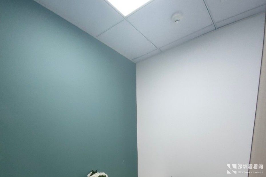 华强北兴华大厦1~6人靠窗独立工作间电商聚集地