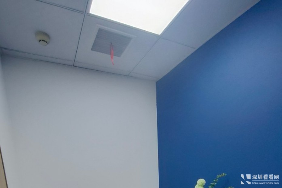 华强北兴华大厦1~6人靠窗独立工作间电商聚集地