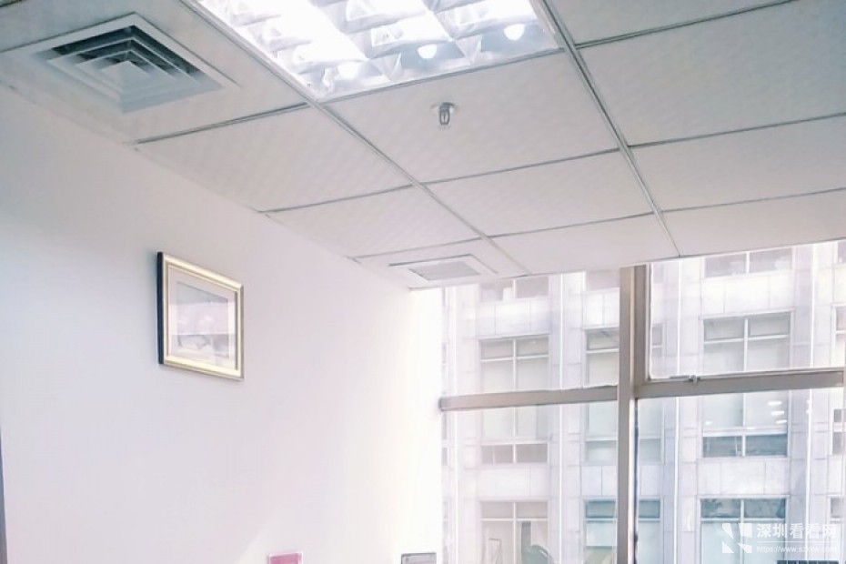 东门国贸租小办公室可办理签证1380元起全包可注册亚马逊