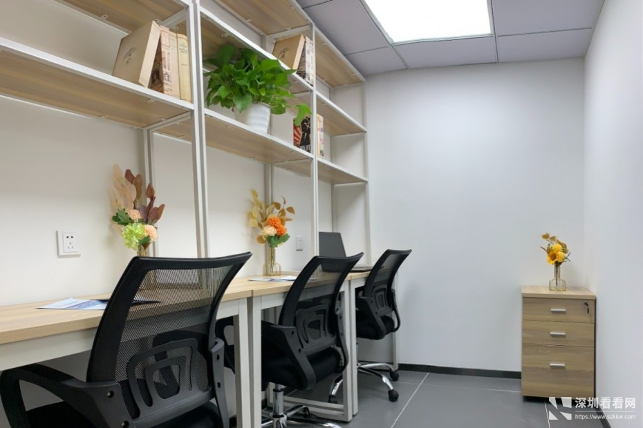 配租赁合同费用全包布吉振兴大厦可申请创业补贴