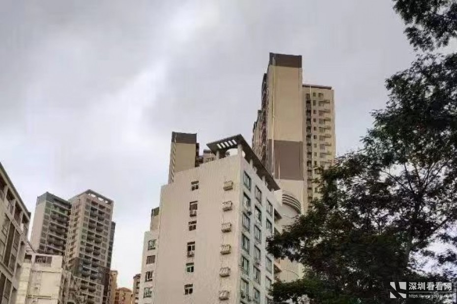 龙华区东环二路龙华广场旁边